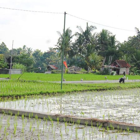 Permana Ubud Cottage Eksteriør bilde