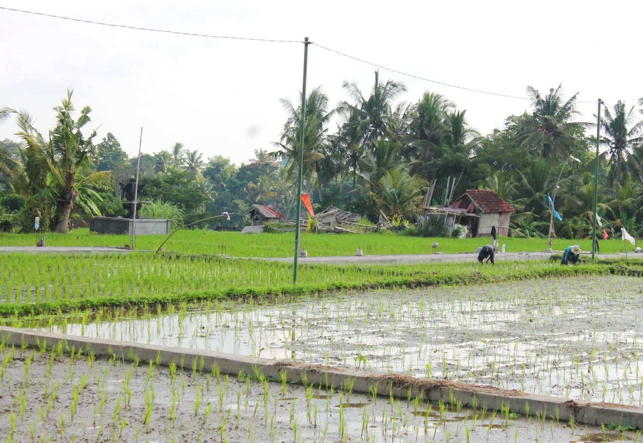 Permana Ubud Cottage Eksteriør bilde